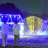 光の演出で幻想の世界　小山・大沼親水公園