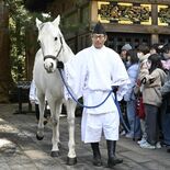 神馬が参拝者をお迎え　７日まで日光東照宮で「神厩奉仕」