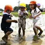 どろんこでも満面の笑顔に　下野で園児が田植え挑戦　「お米になるの楽しみ」