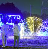 光の演出で幻想の世界　小山・大沼親水公園
