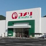 コメリハード＆グリーン今市大沢店が移転オープン　31日から　工具も家庭用品も