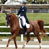自由演技馬場馬術、鈴木が県勢初Ｖ　陸上、自転車、カヌーで２位も　国体第８日