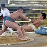 相撲団体、黒羽が15連覇　不測の事態越え王座守る　栃木県高校総体