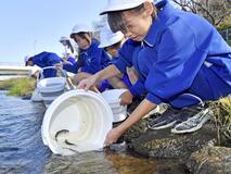 真岡の小学生 ウグイを放流