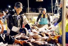 輪島港、巻き網漁が再開