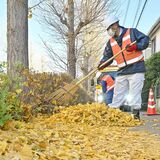 県内からっ風 敷き積もった落ち葉、清掃大忙し 宇都宮