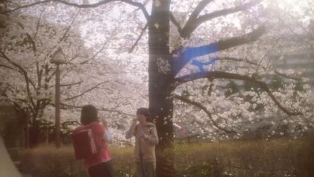 (C)2025「秒速5センチメートル」製作委員会