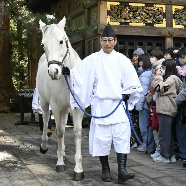 img_13287d7455a9d4b9e21ccadb42