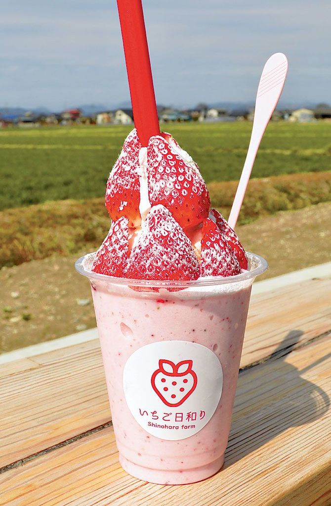 イチゴのおいしさをたっぷり味わえる「いちごスムージーボンボン」