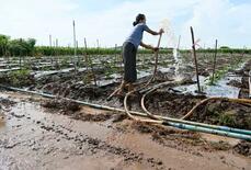 【タイにミャンマー汚染水】レアアース採掘か、被害深刻