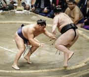 横綱豊昇龍、８連勝で勝ち越し