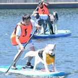 これぞ“ワン”チーム　那須でドッグＳＵＰレース　愛犬乗せて愛情深める
