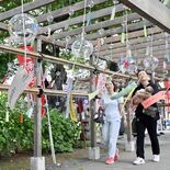 風鈴の音涼やかに　参道に1300個、下野の華蔵寺でまつり