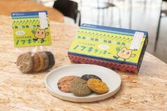 アイヌ伝承植物ノブキクッキーの販売開始