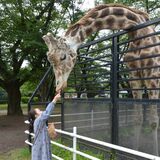 増築のキリン舎お披露目　1500万円集め、くつろげる部屋に　宇都宮動物園