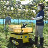 農業用追従ロボット、働きぶりに感心　栃木のブドウ園で実演講習