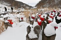 栃木県内 北部を中心に雪景色