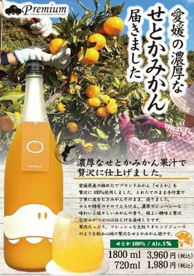 「ＵＭＡ　Ｌａｂ．せとか」のフライヤーデザイン