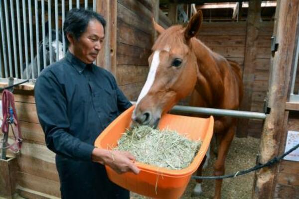 民間事業所「リタッチ」で餌を食べる引退競走馬=11日、大阪府河内長野市