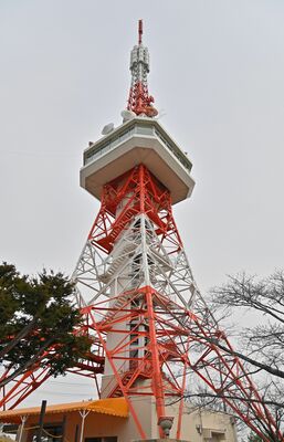 観覧車があった場所に立つ宇都宮タワー