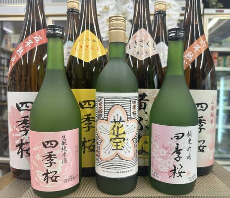 「四季を呑む！四季桜10種類飲み比べ講座」で試飲する「四季桜」
