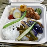 野菜のおいしさ、存分に　ケータリング弁当　ナチュラルフード森の扉（茂木）