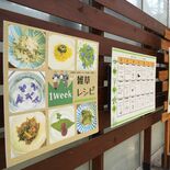 その草、どんな味だった？　とちぎ花センターで「雑草たべてみた展」　職員…