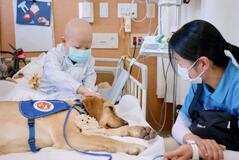 闘病する子に癒やし