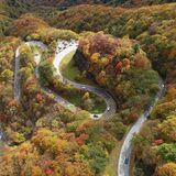 錦に染まる山肌　日光のいろは坂で紅葉見頃　明智平付近は渋滞