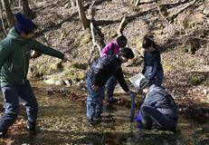 イワナの卵放流 大学生らが体験