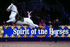 トナカイに負けじ