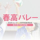 男子の白楊、女子の茂木など８強出そろう　春高バレー県予選