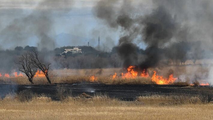 渡良瀬遊水地で発生した火災=27日午後（読者提供）