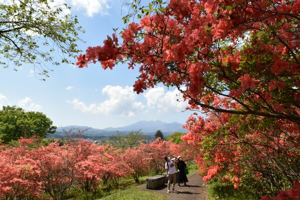 高原山を望める長峰公園で、散策しながらツツジ観賞を楽しむ来園者