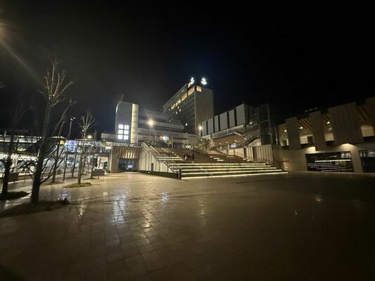 植栽の被害などが相次ぐライトキューブ宇都宮交流広場