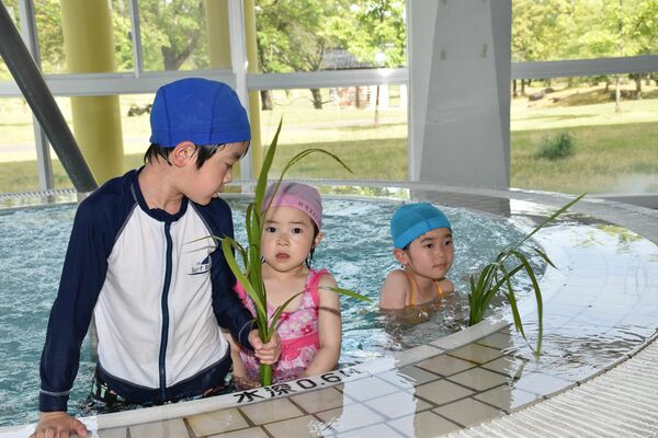ショウブが入ったプールに入る子どもたち
