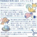 エキノコックス　キツネの中で広がり人に　治療しないと死ぬことも【白鷗大・岡田教授が解説】