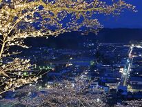 栃木県内桜便り2026　城山公園（茂木）　復興を遂げた町の夜景、桜とと…