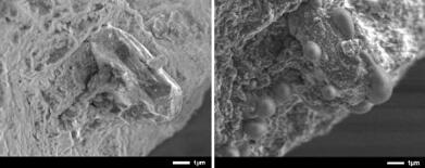 小惑星で採取の岩石、大気で変質