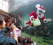 水遊園で水中サンタ
