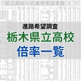 【最新】栃木県立高校（全日制）　2021～25年度の各校の学科別倍率一覧　推移を見える化