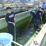 全国唯一　内陸にある水産専門学科の日常に迫る　「他では体験できないこと」盛りだくさん