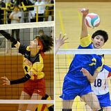 春高バレー県予選の決勝展望　女子・新旧女王の覇権争い　男子・足大付Ｖ５なるか　