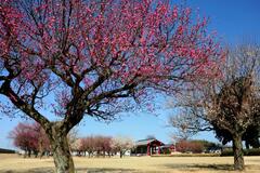 地元の魅力を写真に