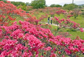 北関東有数の名所・矢板の長峰公園でツツ…