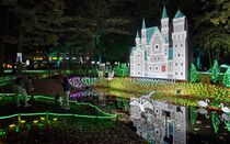 グリムの森のイルミネーション