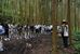 田中代表（右）から整備した里山の説明を受ける参加者＝８日午後、佐野市