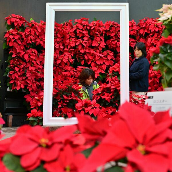 img_1642220c28f804c4ba2d6afb19