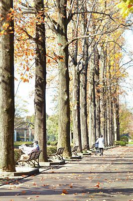 宇都宮・中央公園
