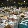 宇都宮市中央卸売市場の水産物取扱、ピークから91％減　背景に魚離れやネット販売普及　赤字運営どう脱却する